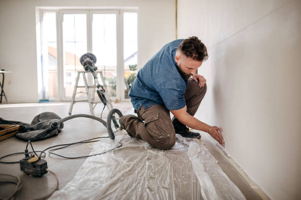 Best Fire-Damaged Drywall Repair  in Randallstown, MD