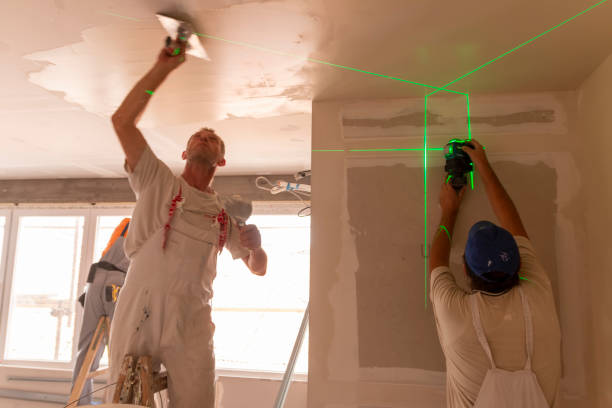 Best Drywall Sanding and Smoothing  in Randallstown, MD